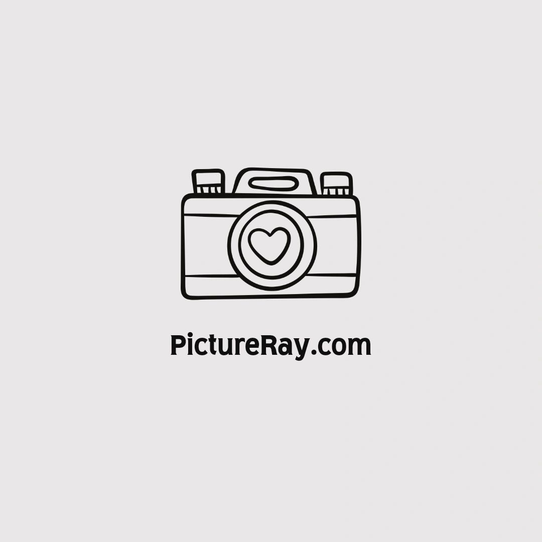 PictureRay.com logo